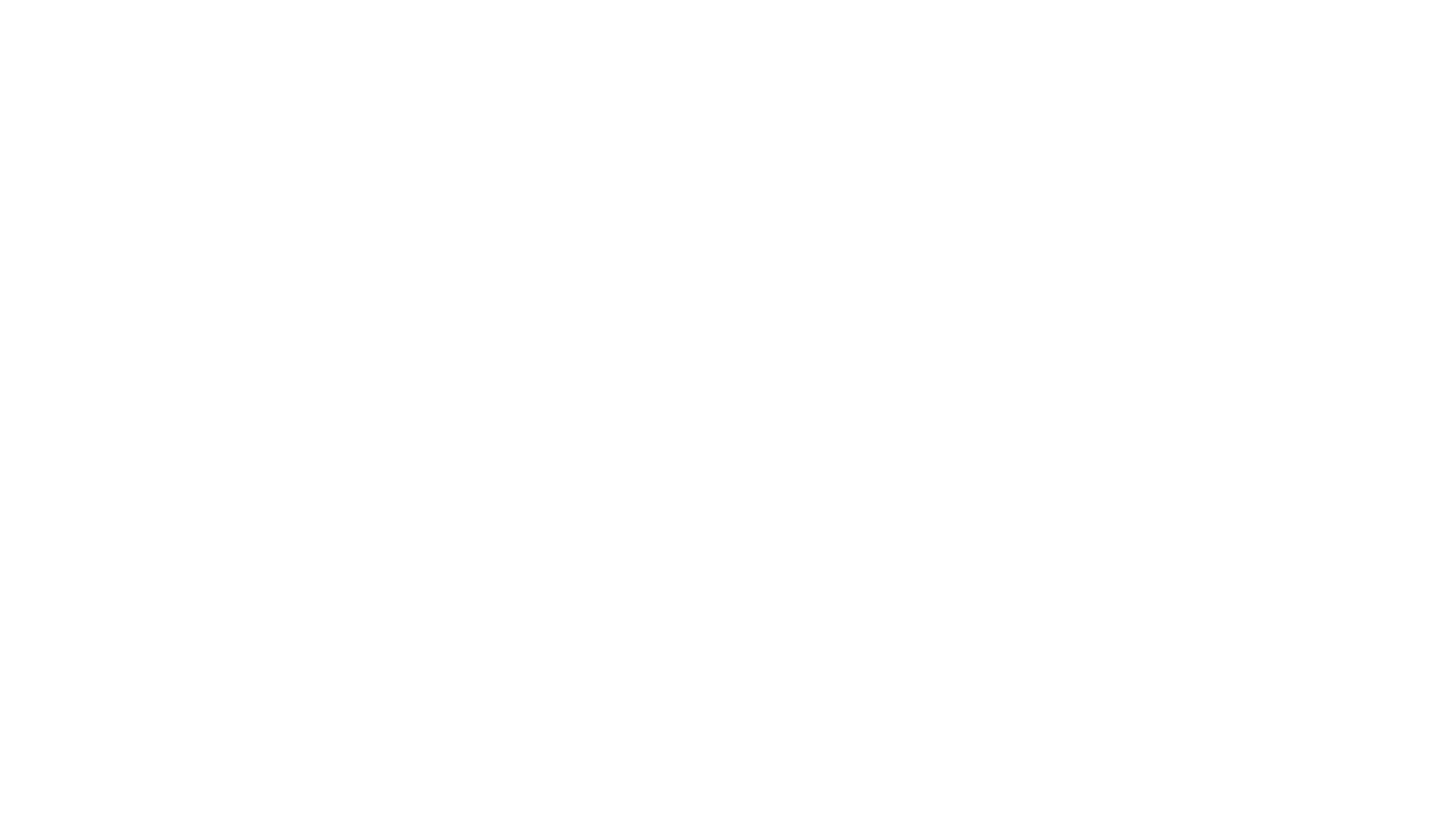 Pigeon People logo